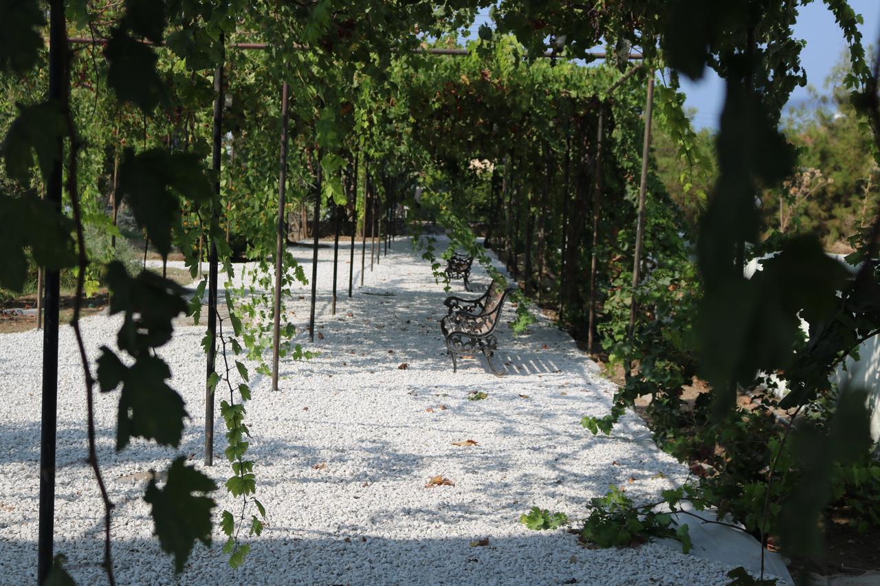 Meryem'S Hotel Agios Epiktitos エクステリア 写真
